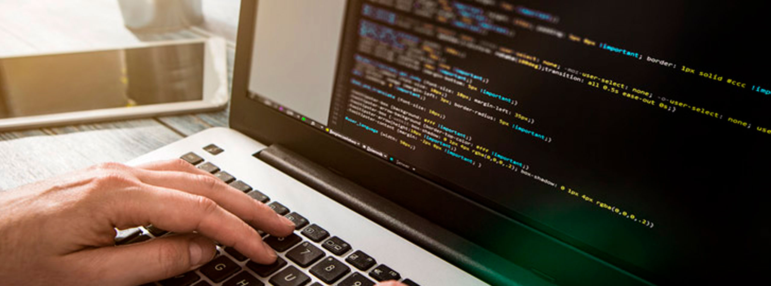 PROGRAMACION WEB